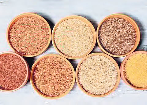 growing demand for minor millets and the lucrative opportunity it presents for farmers to enhance their income.