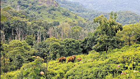 Image used for representational purposes only.