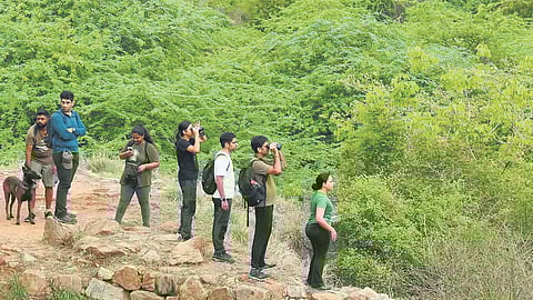 A Delhi Earth Walk at Sanjay Van