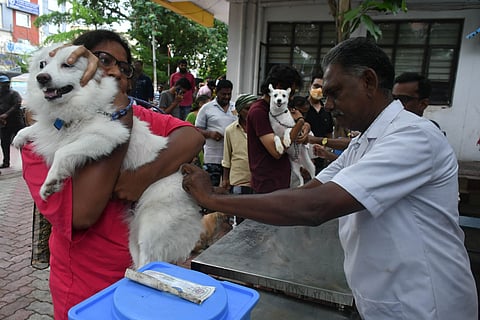 Image of veterinary clinics used for representational purpose only.