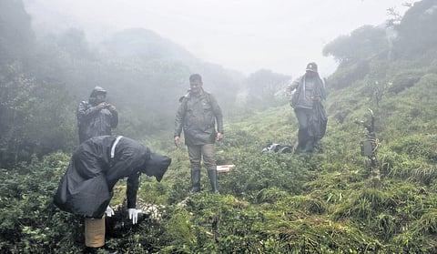 A forest team found the remains of the Tahr’s carcass at the western catchment area of the Western Ghats in the Mukuruthi Forest Range on Thursday