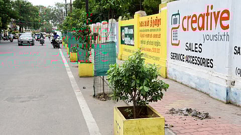 Saplings and potted plants planted beside the pedestrian path in front of the K Abishekapuram zonal office in Tiruchy on Thursday.