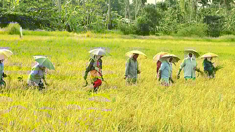 Image of rural women used for representational purposes only.