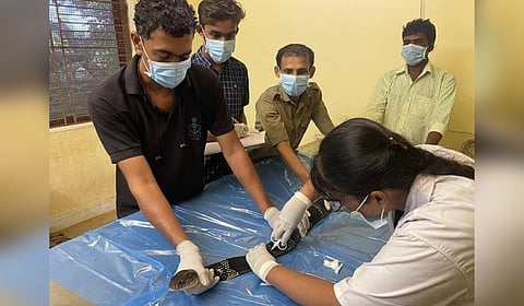 Implanting of a microchip in the King Cobra at Pilikula Biological Park in Mangaluru.