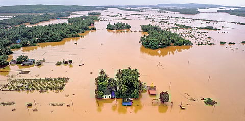 A drone image of floods along the Aghanashini river in Uttara Kannada district | Gopi Jolly
