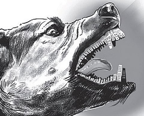 Representative Image