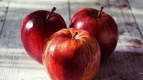 After Kashmir, Himachal Pradesh is the second largest producer of apples in the country, with a substantial market share of around 25 per cent.