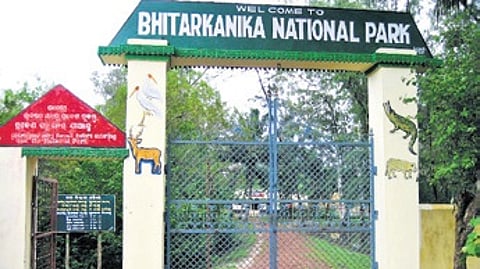 Bhitarkanika national park
