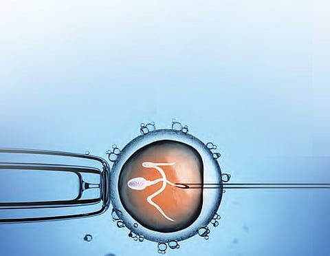 Cryopreservation to reshape field of IVF