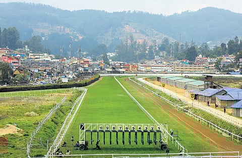 The land taken back from the Madras Race Club has been handed over to the Horticulture Department to set up an eco-park.