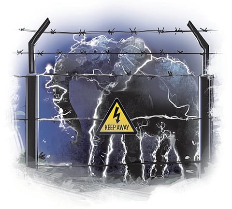 Representative image