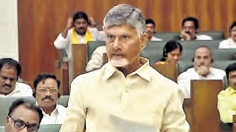 Chief Minister N Chandrababu Naidu