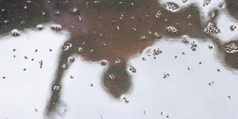 Representational image