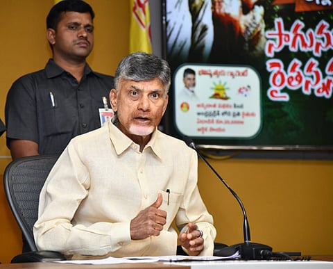 TDP leader N Chandrababu Naidu