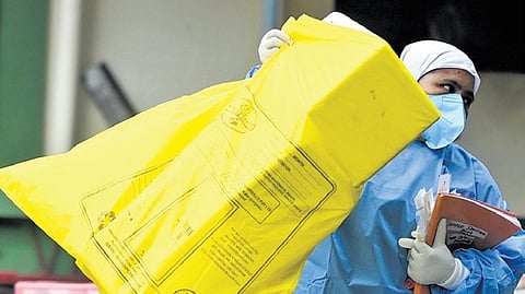 To determine whether animals were infected with the virus, the district veterinary centre has collected samples from cattle and other domestic animals in Pandikkad.