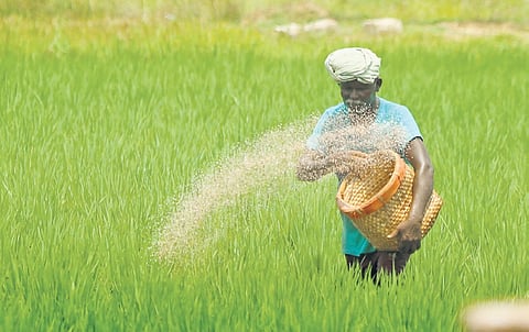 The association says grants being given to farmers who use chemical fertilisers should also be given to those who adopt natural farming.