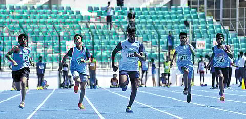 Champions in the making