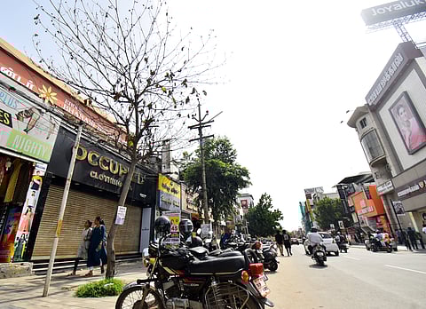 A dried tree in front of shops on crosscut road in Coimbatore on Saturday.