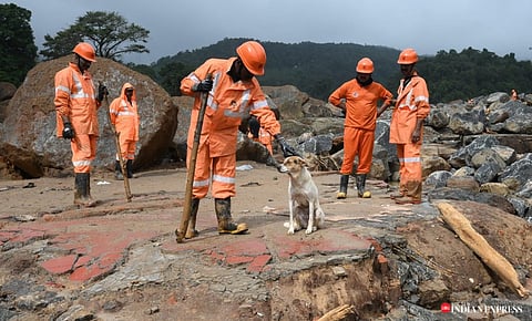 Even though not many wild animals had lost their lives in Chooralpara and Mundakkai, the death of a sambar deer and its calf were reported.