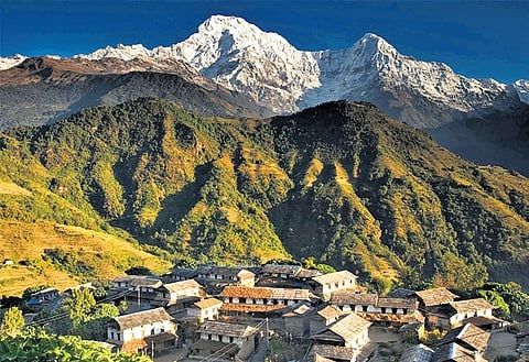 NGT panel: Need system to monitor Himalayan ecology