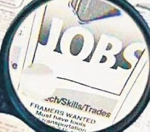 Hiring across all experience levels witnessed positive growth in July