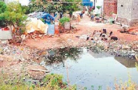 758 dengue cases have been reported up to August 6 this year