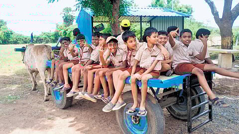 To revel in a farmland’s bounty