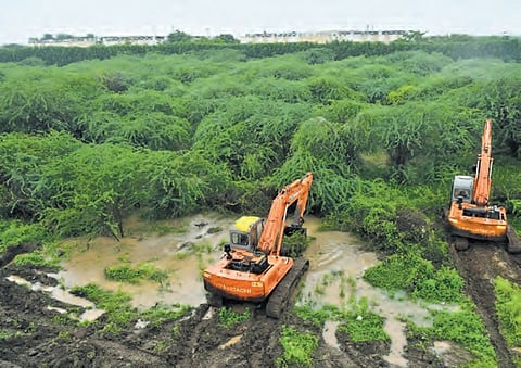 Heavy machinery deployed for jungle clearance in Amaravati