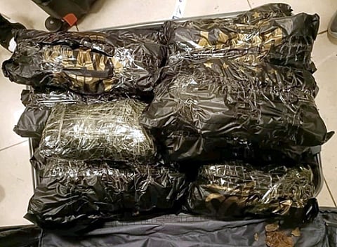 Image used for representative purposes only.