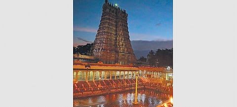 A view of the Madurai Meenakshi Amman temple