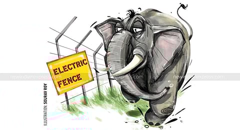 Image for representational purpose.