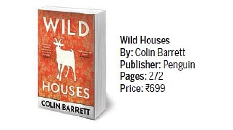 'Wild Houses' book review: Establishes Colin Barrett as one of the finest writers from contemporary Ireland