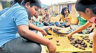 A group of students from Daringbadi block in Kandhamal district is making strides in environmental conservation by crafting seed balls to promote tree planting.