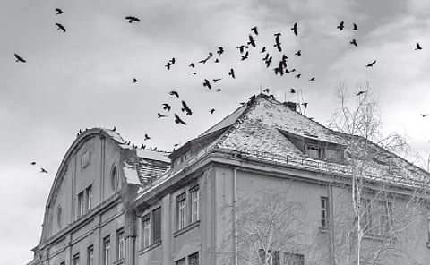 Dying Art of Horror Movies