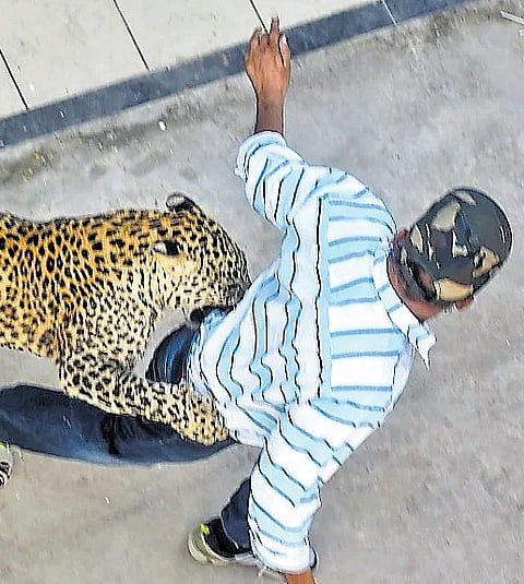 Tech-savvy Uttarakhand forest dept taps AI to reduce chances of human-wildlife conflict