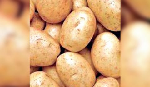 Amid low stocks in both Bhubaneswar and Cuttack, potatoes were being sold at Rs 20 to Rs 25 per kg at the retail points.