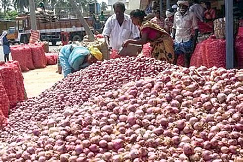 Onions at a market