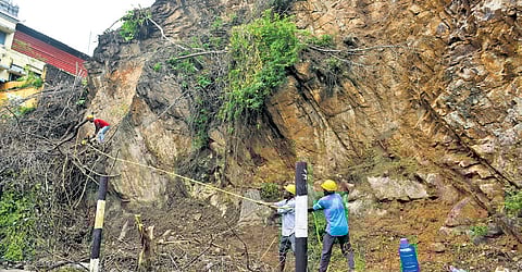 Workers cut down the plants at the ghat road at Durga temple