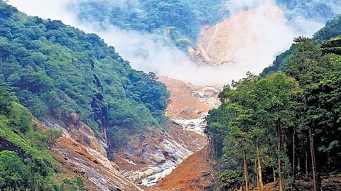 Wayanad relief fund: Take some positive action, Kerala HC tells Centre