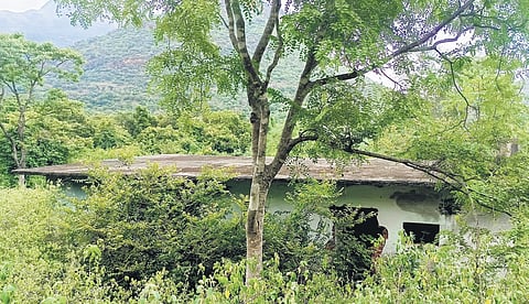 The house at Churulipetti where Kuttiyamma stayed, now lies abandoned and overgrown with bushes inside the Chinnar Wildlife Sanctuary in Idukki