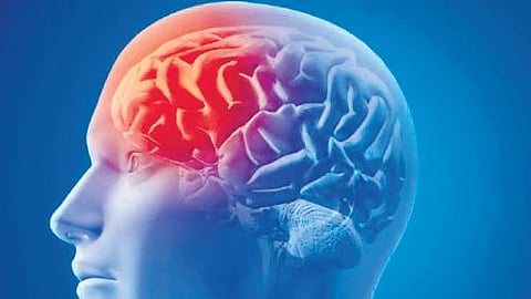 Though considered rare and highly fatal, Kerala reported 19 cases which included 5 casualties.