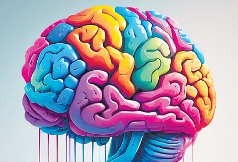 brain, neuro programming, intellect