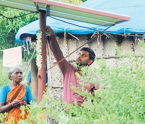 The scheme will promote solar-based home lighting systems, solar water systems, solar pumps for agriculture, and solar street lights covering village roads and common infrastructure.