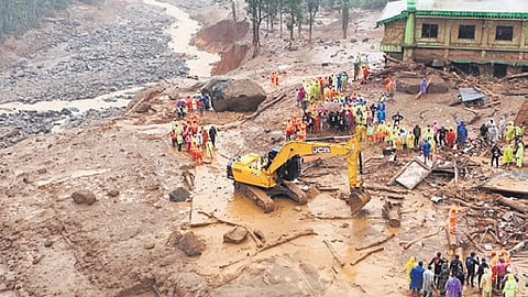 Representative image.