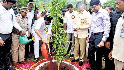 Chief Minister N Chandrababu Naidu and Deputy Chief Minister Pawan Kalyan take part in Vana Mahotsavam near AIIMS, Mangalagiri on Friday
