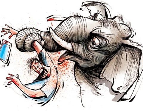 India will be global hotspot for
human-wildlife conflict by 2070