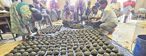 APCNF team making Ghana Jeevamrutham in Zambia