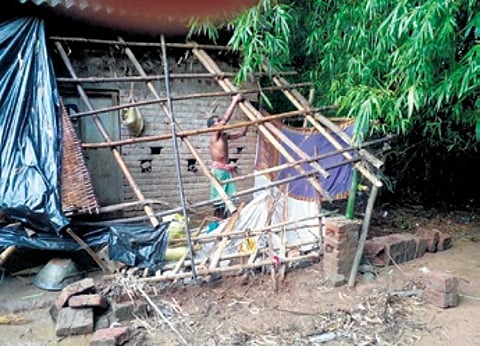 The house of Makara Singh was damaged by the elephant herd