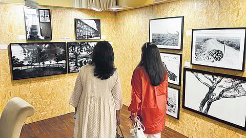 Visitors gazing at Prarthana Modi’s photography.