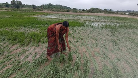 Image used for representational purpose.